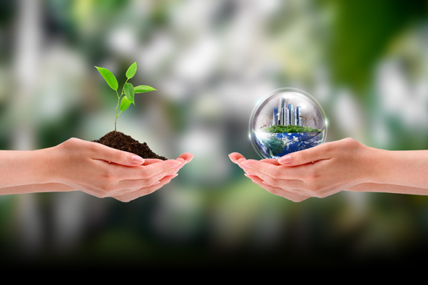 化學品的批發(fā)零售